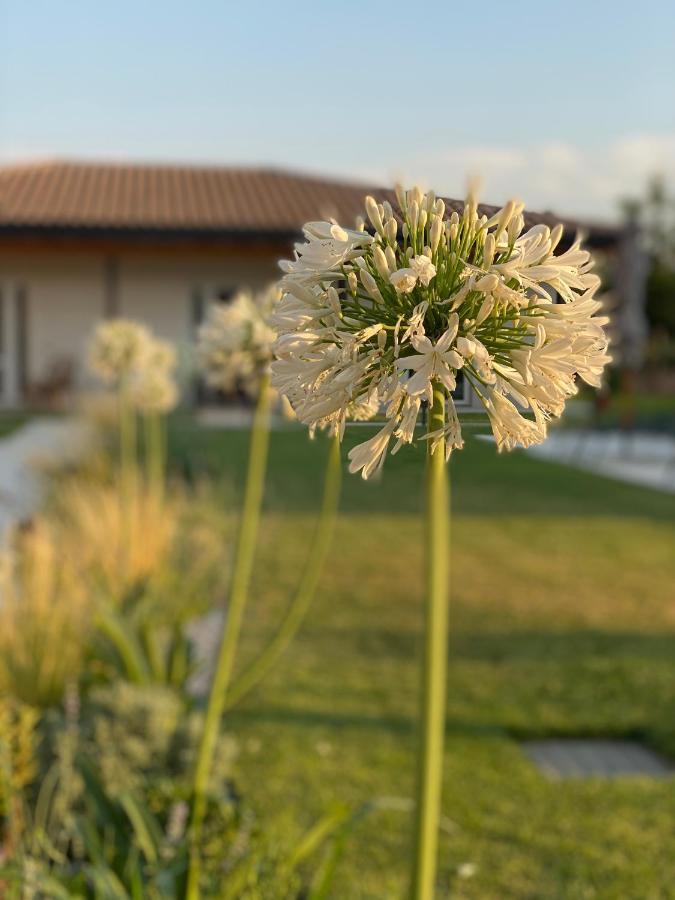 Agriturismo Pepe Rosa Rivoli Veronese Exteriör bild